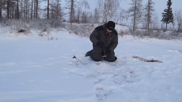 Первый щучий лёд. Pike ice fishing. DF 33 смотреть онлайн