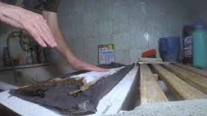 Шкурный интерес