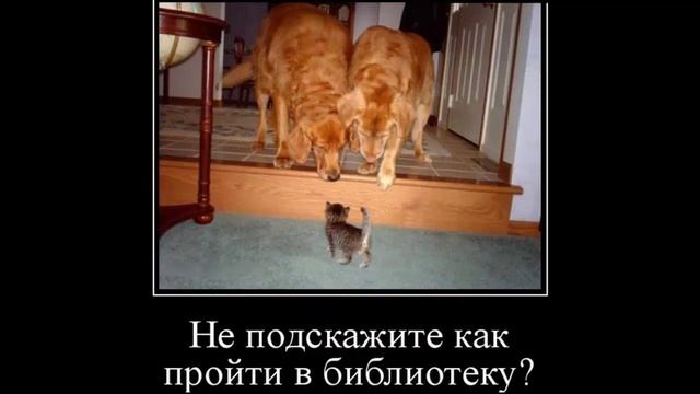 Приколы 2016 Убойный Юмор 2016 #7 HD смотреть онлайн