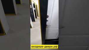 Дверь входная Изотерма серебро Ривьера айс царга. FERRONI
