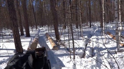 Транспортировка бревен буксировщиком