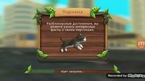 CatSim #1. Пифагор и Шуша нашли дом для котиков! CatSim.