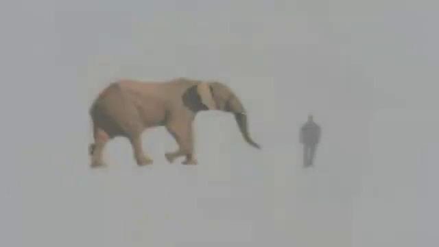 ПОЛЕ потенциальности!