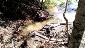 Объемная проба на р. Нейва