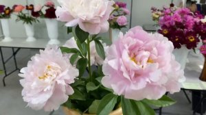 Ждем всех на выставке-ярмарке пионов и не только с 20-24июня.СПб, ст. Метро Кировский завод