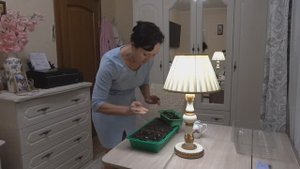 Пикирую Эустому. 27 января 2024 года