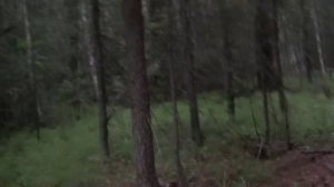 Тува 2015.mp4