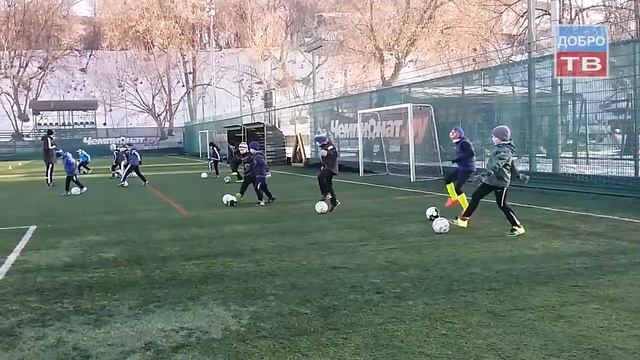 Спортивная школа олимпийского резерва "Юность Москвы" по футболу "Торпедо" смотреть онлайн