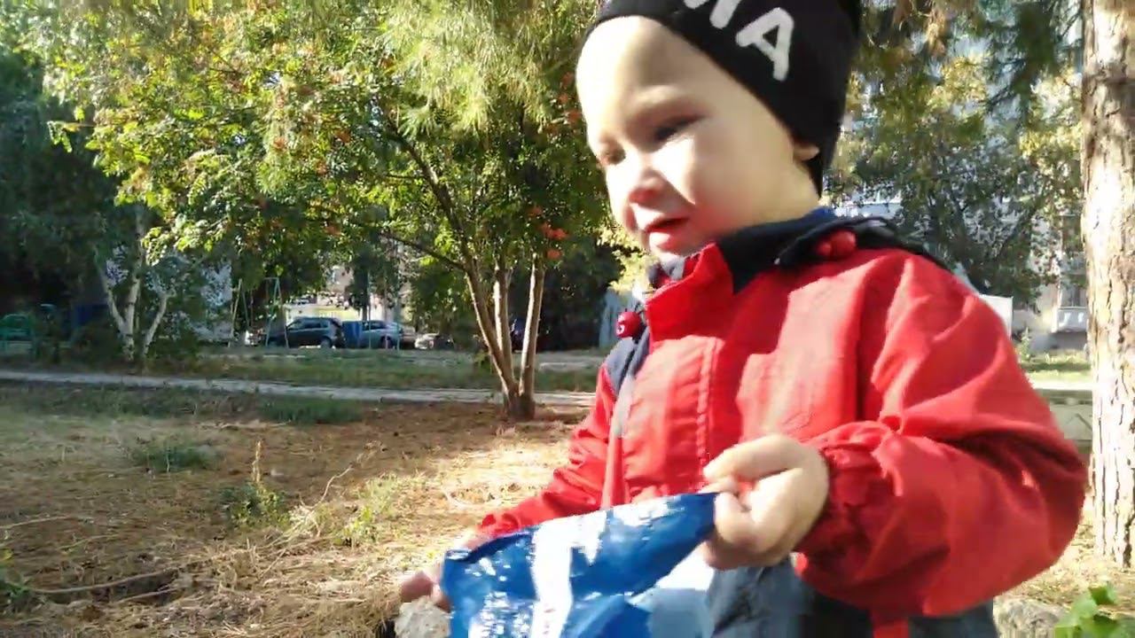 Мишка с шишками смотреть онлайн