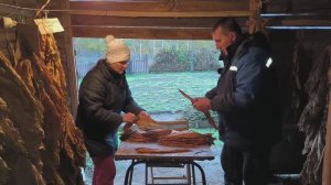 Поливаем парник. Готовим землю к посадкам. Начали жилковать лист. Оберточный лист на сигары