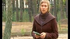 Газон ,как правильно сделать!