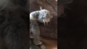 Сравнение размеров вселенной сезон2 3D