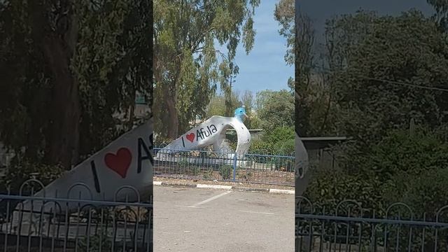 Афула(Израиль) смотреть онлайн