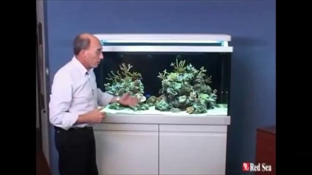 RED SEA. Аквариумы Max S. Обзор смотреть онлайн