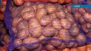 Земля за рубль. Продлён срок действия льготной аренды земель сельхозназначения до конца 2023 года