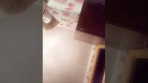 Как очистить слайм от ковра