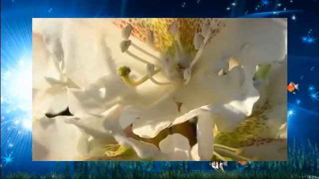 Детская песня Караоке Чему учат в школе