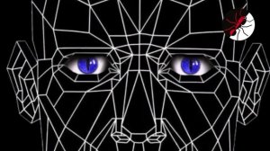 Муравьиная ферма. Как ловить муравьев для пересадки