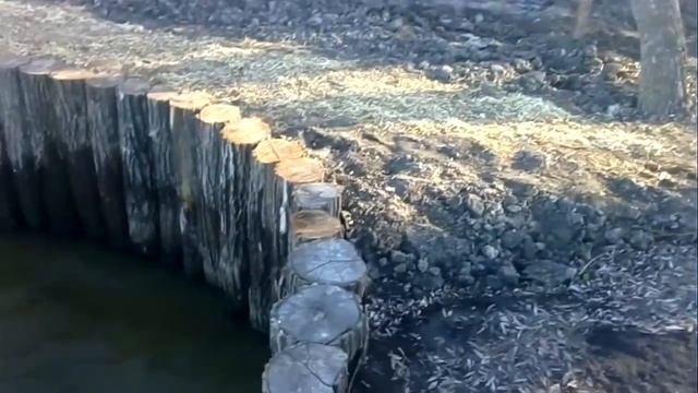 #подпорнаястенка Подпорная стенка у водоема с бревен акации.