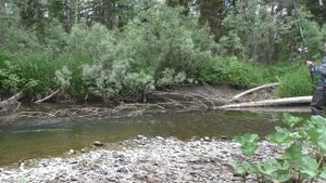 82 Серия Рыбак Близко к месту Лова, и мелкая Рыба, а в Перекат бросать нужно Удочка Поплавок Тайга