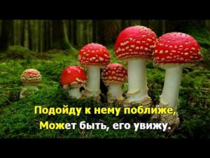 В лес по грибочки