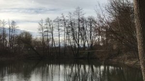 КАК СНИМАЕТ АЙФОН 7 В 4К