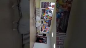 Выступление на день учителя. Песня:учителя не ставьте двойку?