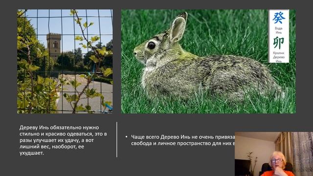 2023 ГОД. ГОРОСКОП ЛИЧНОСТИ «ЦВЕТОК» -ДЕРЕВО ИНЬ И ЛИЧНОСТИ «ДУБ» -ДЕРЕВО ЯН. БАЦЗЫ-КОД СУДЬБЫ. смотреть онлайн