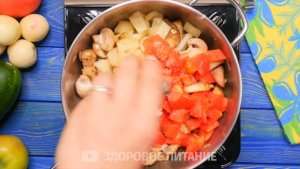 Гениальные КАБАЧКИ - 10 РЕЦЕПТОВ, после которых вы взгляните на них по НОВОМУ