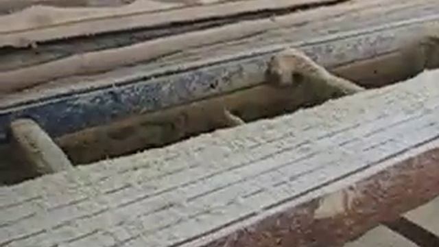 ЦМС 200/600 смотреть онлайн