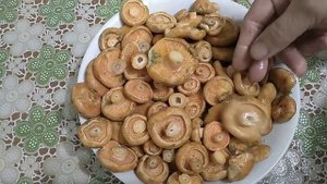 Про грибы, как я солю рыжики.