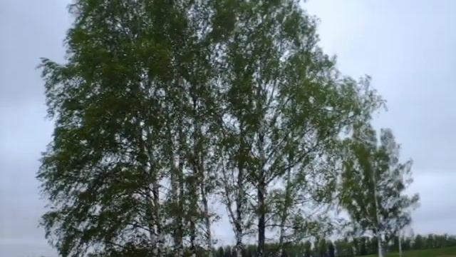 Бородино