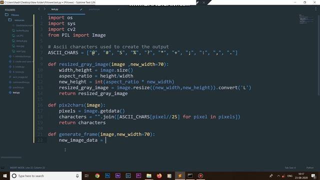 Python Project 2021 : Video to ASCII Art | Command Line ASCII video player in python