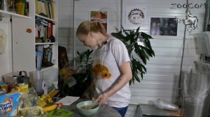 10 рецептов субстрата для разведения дрозофилы!