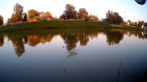 НА ЧТО ЛОВИТЬ КАРАСЯ ОСЕНЬЮ НАЖИВКИ И АРОМАТИЗАТОРЫ