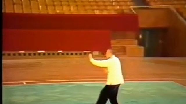 Багуачжан семьи Гао, прямолинейные дорожки  хоутянь багуачжан / Gao HouTian Bagua.