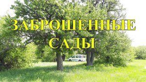 Заброшенные сады - неплохое место для копа!!