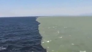 Почему два разных моря никогда не смешивается?
