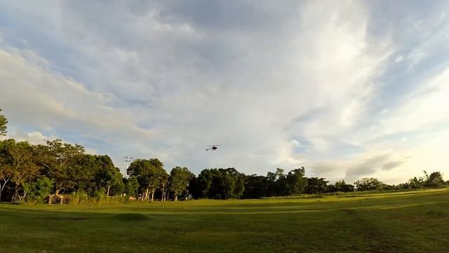 Wltoys V913 Brushless RC Helicopter Official First Flight смотреть онлайн