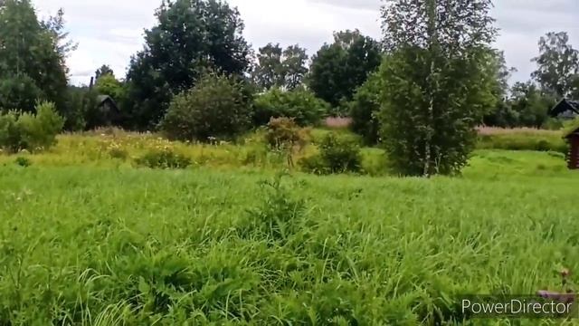 Очередной покос/ Косим некось для коз/ Первая картошка/ Облагораживаем деревню! смотреть онлайн