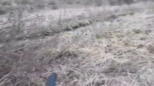 Весенний спиннинг.Поиск щуки после схода льда на Воблер Orbit 80 Bearking