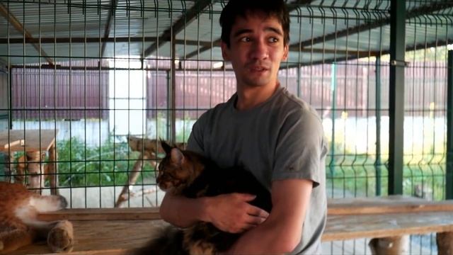 В память Арслану Валееву... смотреть онлайн