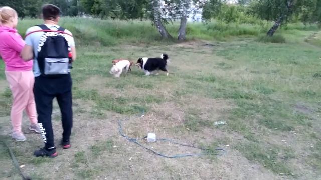 Дон Жуан2 смотреть онлайн