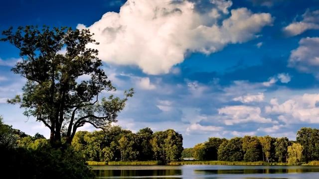 До свидания, ЛЕТО... смотреть онлайн