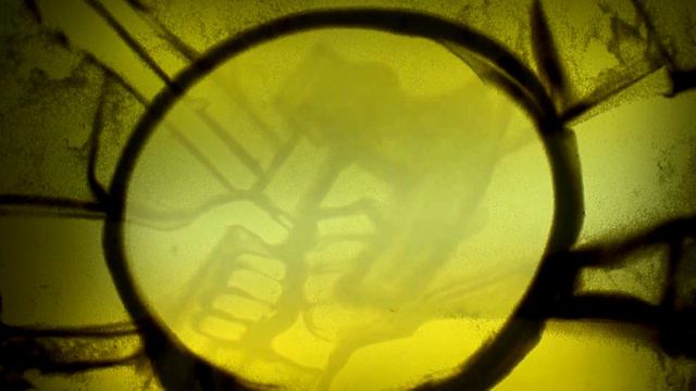 ВОЛКОЛАК - ЧЁРНАЯ МОЯ смотреть онлайн