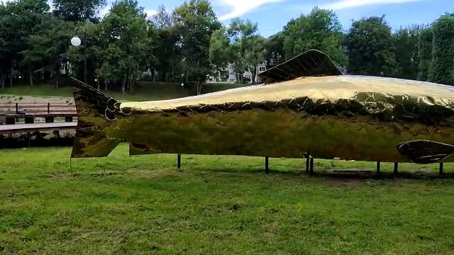 золотая рыбка