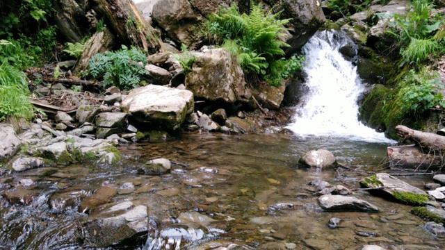 Роза Хутор. Парк водопадов Менделиха.