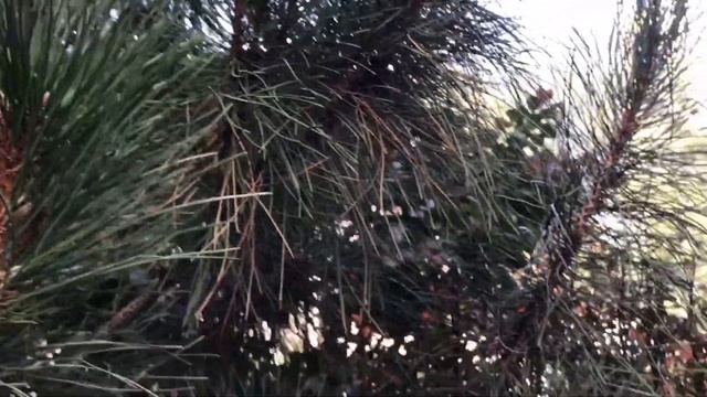 Видео на камеру Iphone 7 смотреть онлайн