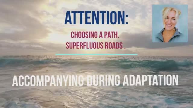 ENG. Hello Change 3. Attention: Choosing the Path, Superfluous roads.