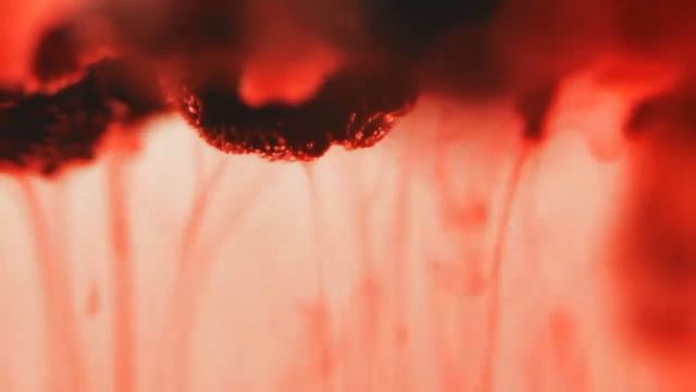 Электрочайник Smeg KLF03 в ЭГОМАРТ смотреть онлайн